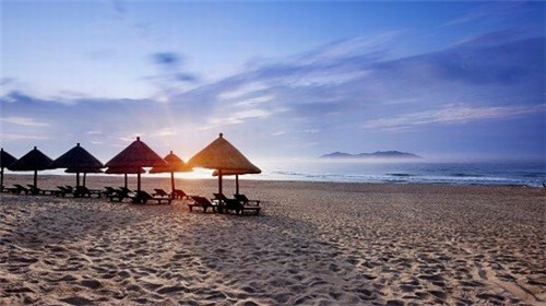 张成荣电烤鸡架