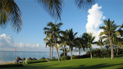 洛大叔炒鸡大盘鸡