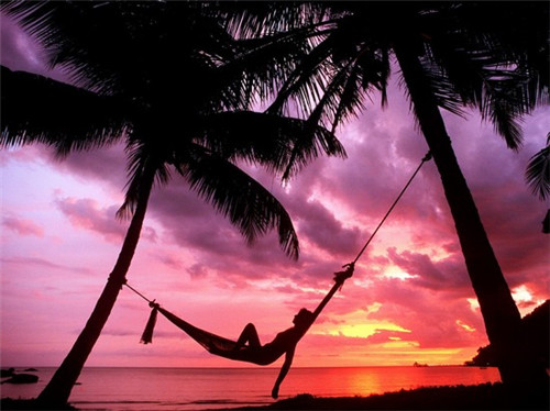 爱尚焖小猪烤肉饭