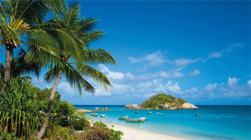 牛丼日式牛肉饭