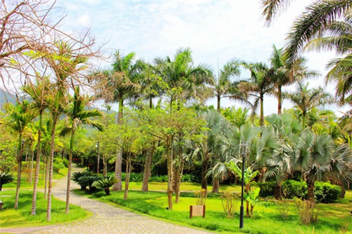 电镐品牌排行榜前十名