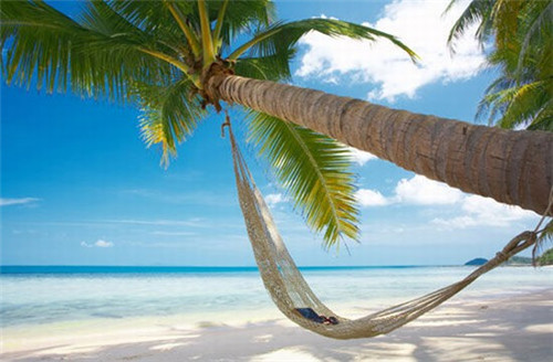 哪个品牌的多功能电锅好