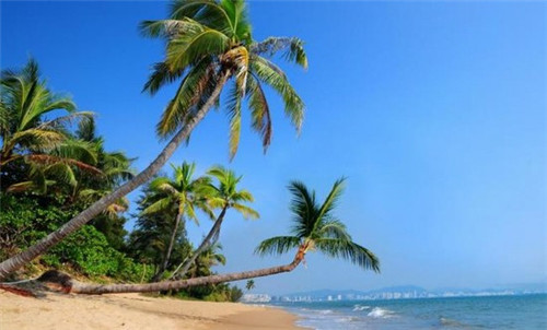 照铁销含元素的仪器（用什么摄取铁元素光谱）