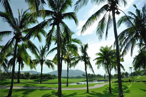 梦幻手游大力什么意思（梦幻手游大力是什么意思）