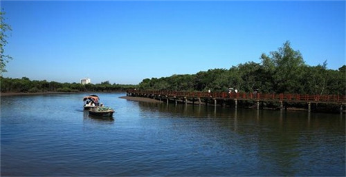 温州十大异事事件是什么（温州十大异事事件是什么时候的）