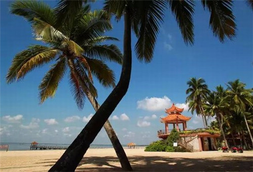 订婚书怎么写（订婚书怎么写订婚书日期）