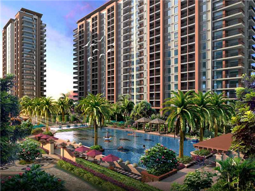 球队合影春节怎么拍（足球队合影怎么拍好看）