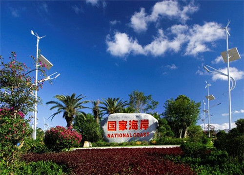 爱情的中文是什么歌（关于爱情的中文歌）